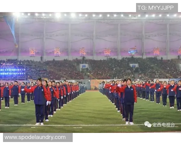 李军的排球人生：从赛场到人生的启示与反思