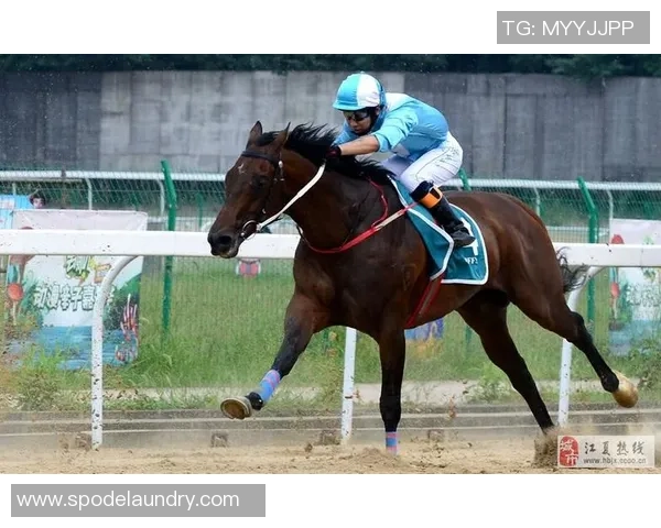 武汉篮球队速度之美展现大满贯点评引领赛场新风潮 武汉篮球队速度之美展现大满贯点评引领赛场新风潮