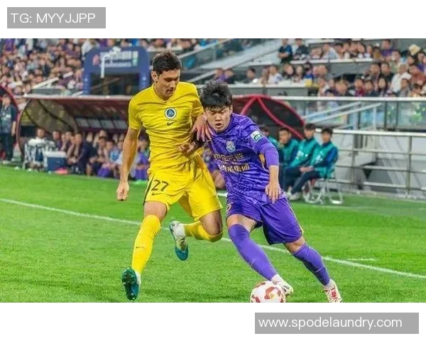 深圳排球队技术争议引发热议球迷与专家观点碰撞激烈