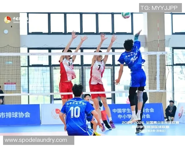 专业解读：重庆排球队的防守打法