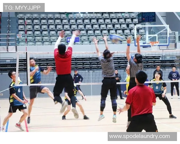 权威发布：排球配合实力榜单_1