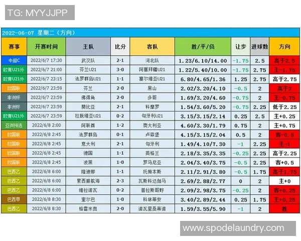 数据分析：上海篮球队的比赛经验表现