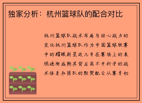 独家分析：杭州篮球队的配合对比